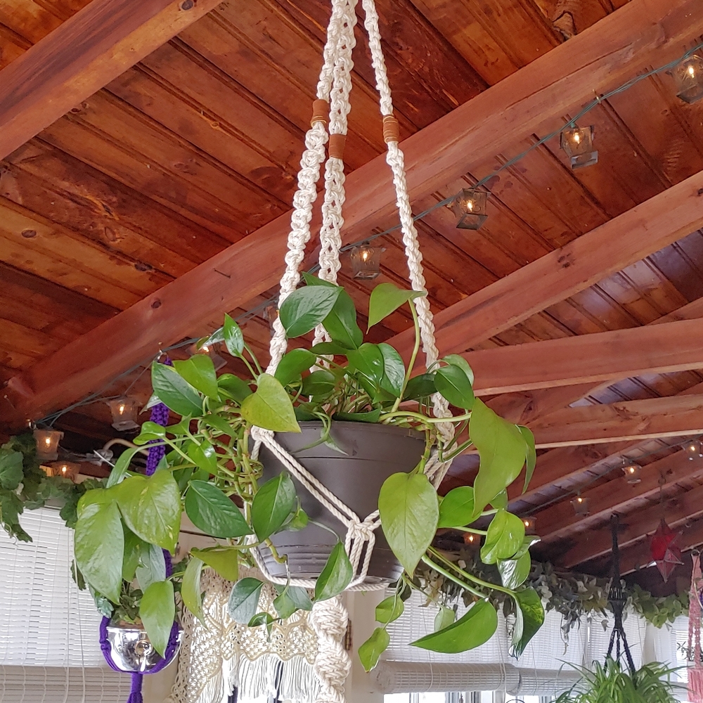 Natural Cotton & Suede Boho Plant Hanger - Picture 6 of 8